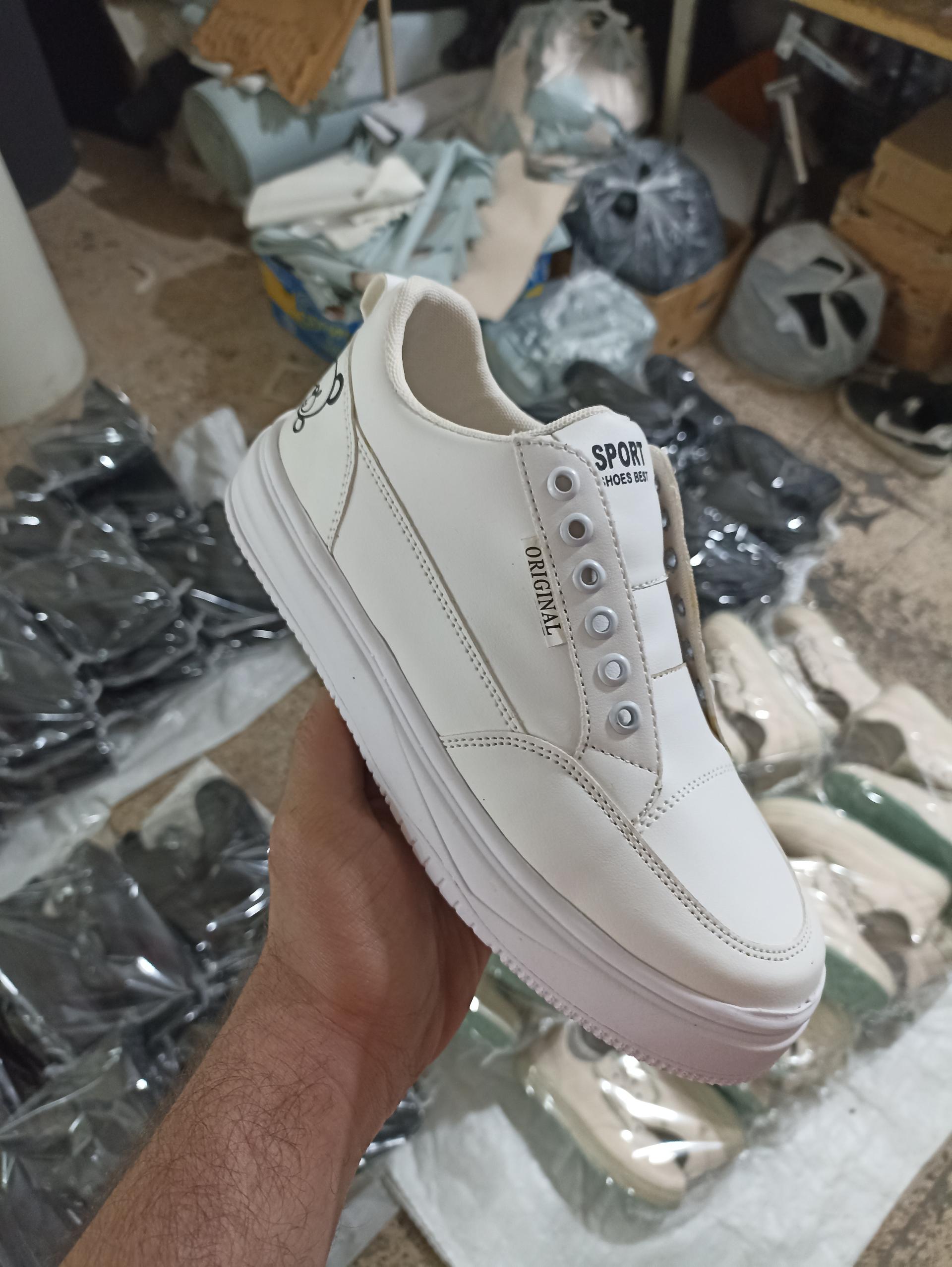 عکس پخش کفش الیسا