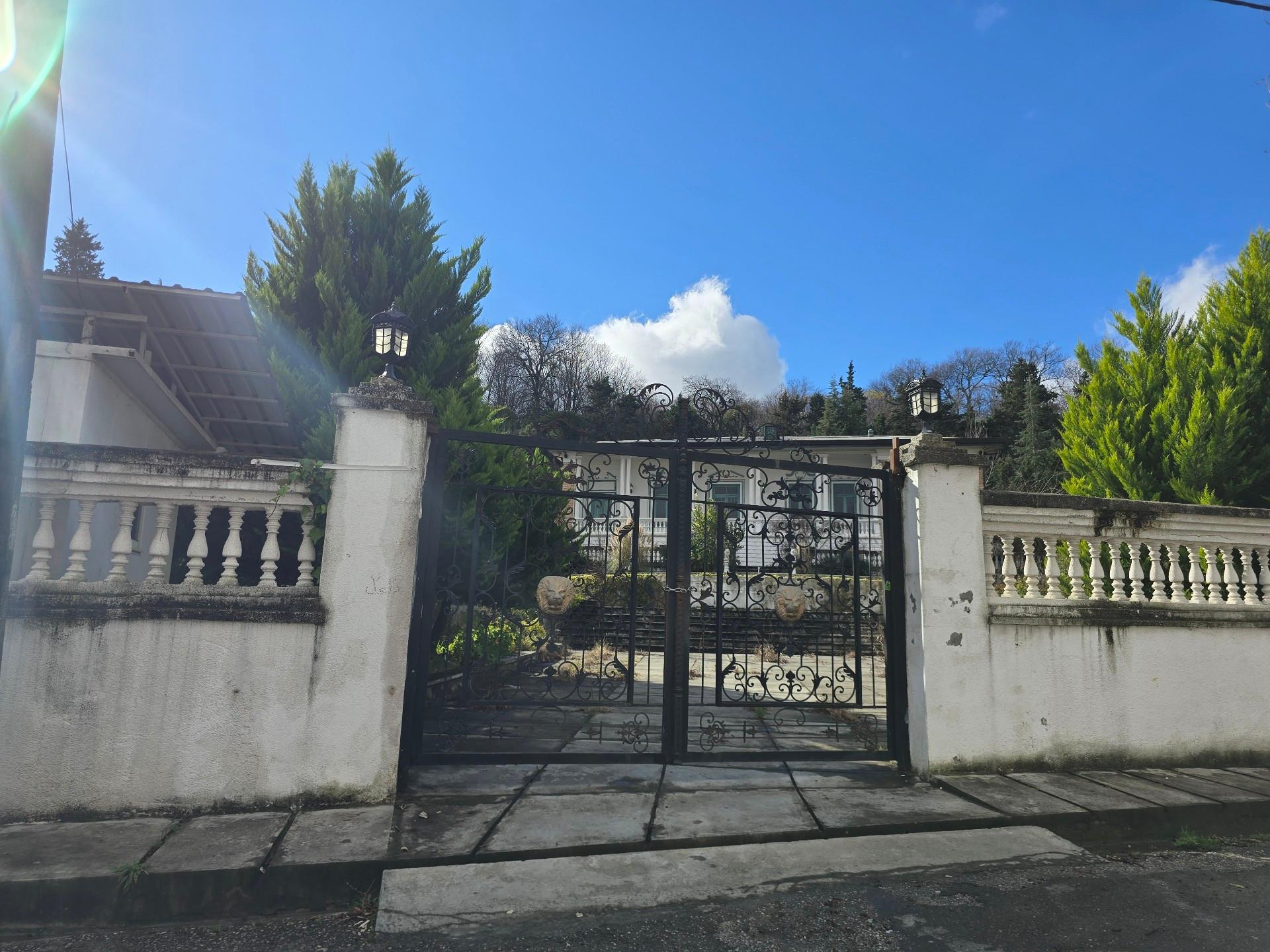 عکس کاخ چایخوران