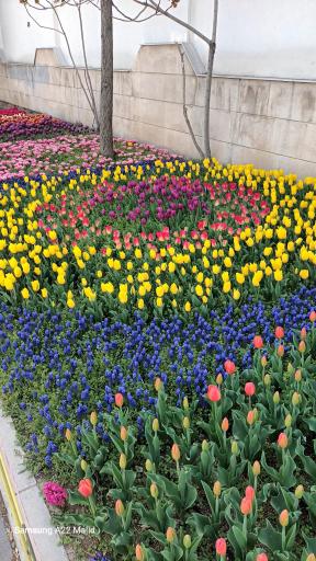 عکس بوستان لاله مادران - پیاده رو مادران
