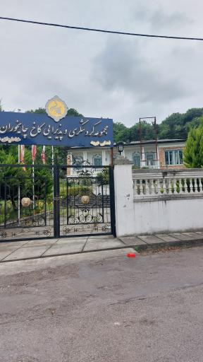 عکس کاخ چایخوران