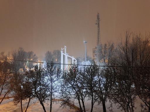 عکس پارک لاله