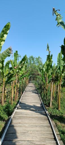 عکس کافه باغ ریحون