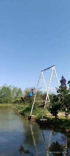 عکس کافه باغ ریحون