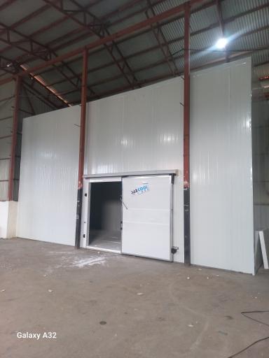 عکس تک سرمایش