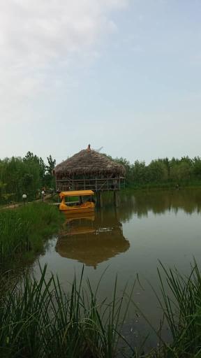 عکس کافه باغ ریحون