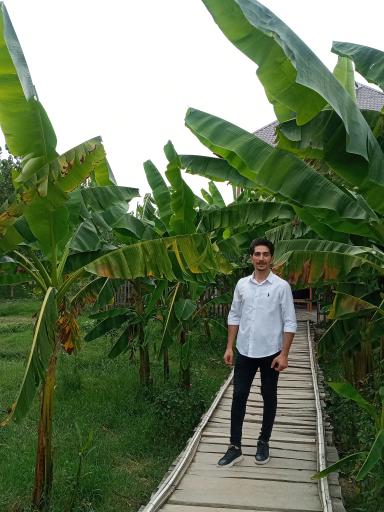 عکس کافه باغ ریحون