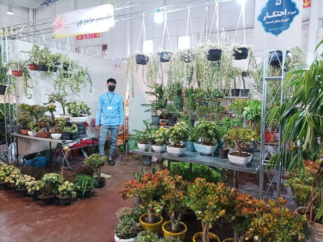 عکس  شعبه دوم گلخانه چهارفصل طوبی