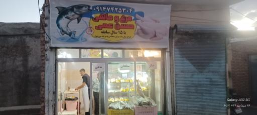 عکس مرغ و ماهی حسن عمی