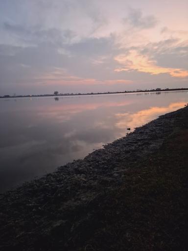 عکس دریاچه نیلوفر آبی