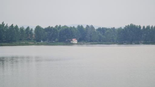 عکس دریاچه نیلوفر آبی