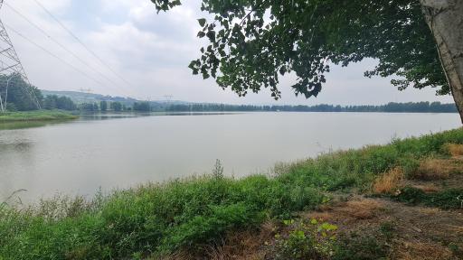 عکس دریاچه نیلوفر آبی