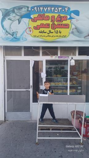 عکس مرغ و ماهی حسن عمی