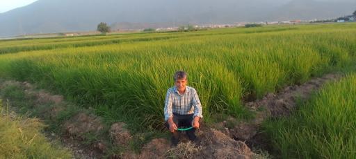 عکس شریف آباد