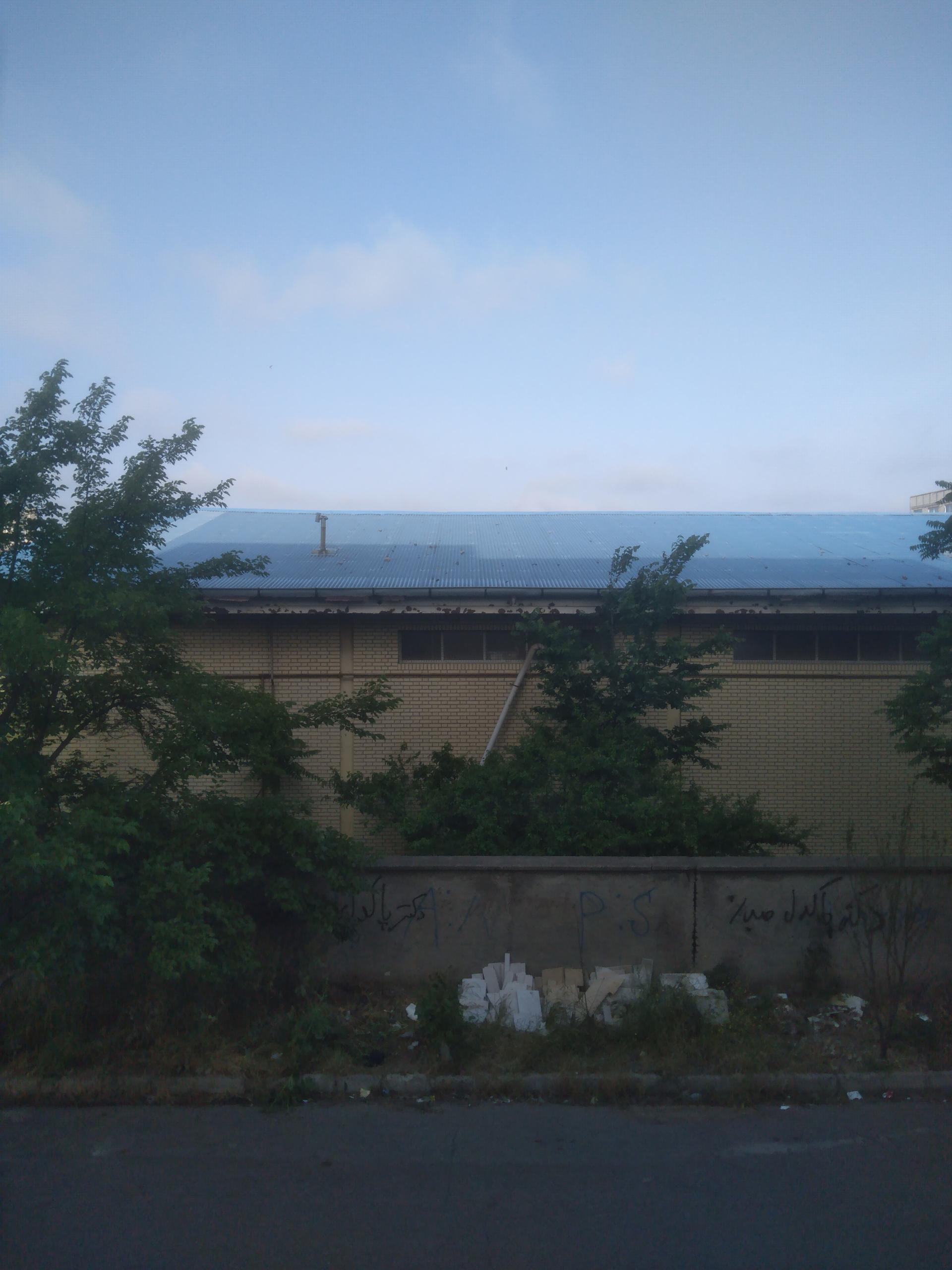 عکس مجموعه ورزشی تختی