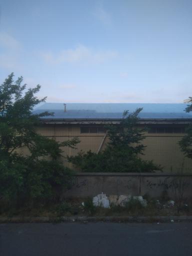 عکس مجموعه ورزشی تختی