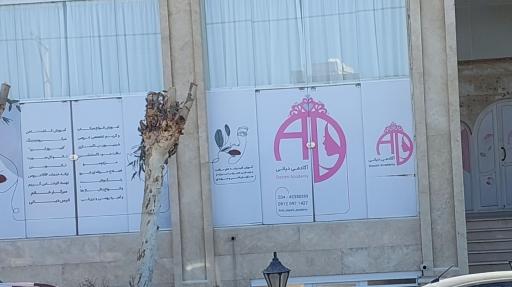 عکس آکادمی انیس دیانی