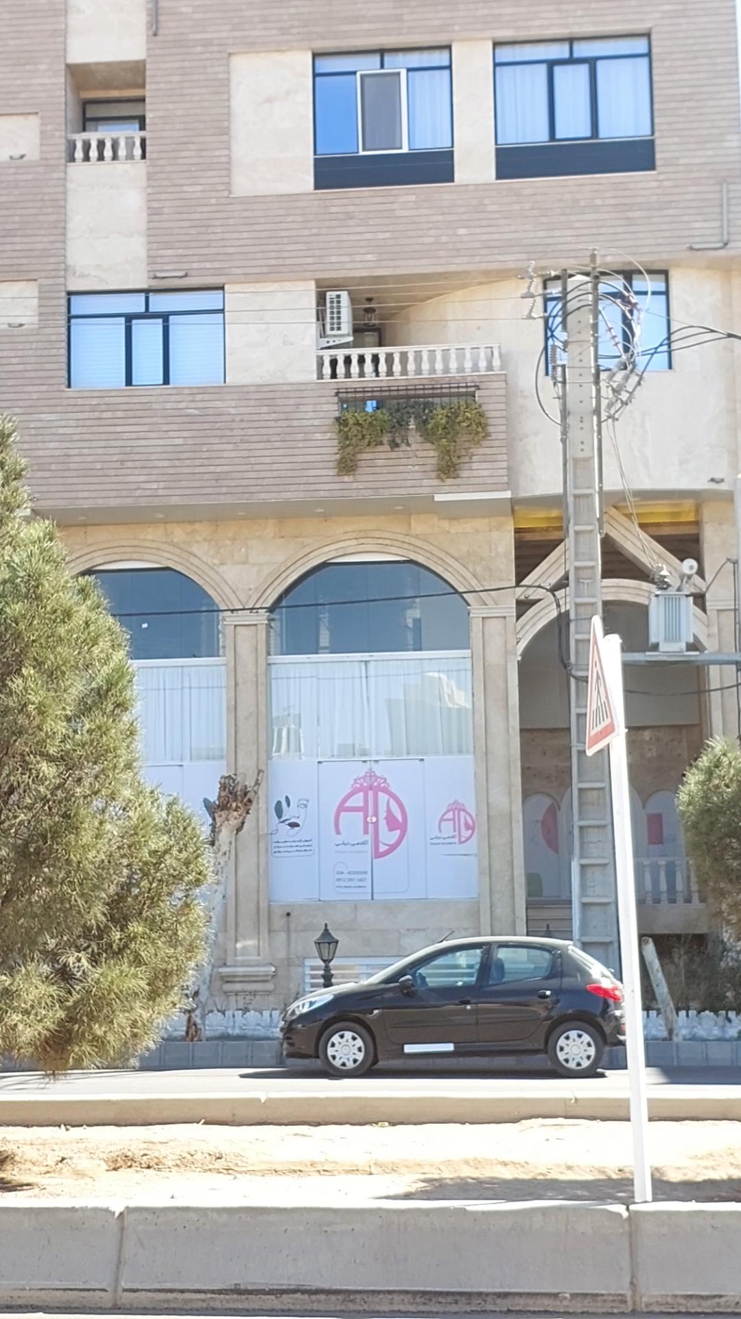عکس آکادمی انیس دیانی