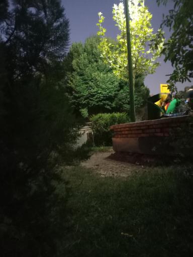 عکس بوستان ساحل