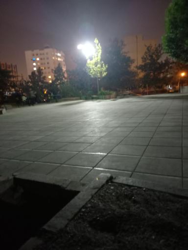 عکس بوستان ساحل