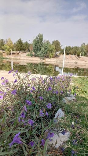 عکس پارک ساحلی ورزنه