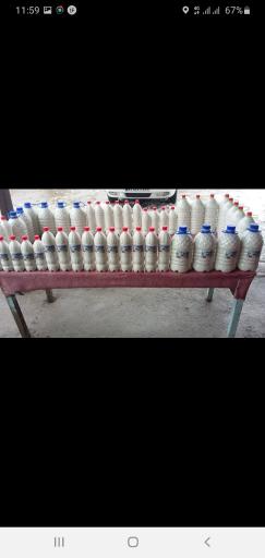 عکس دوغ گدوک دبیر معصومی