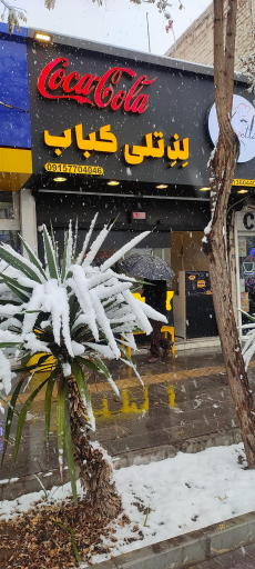 عکس لذتلی کباب