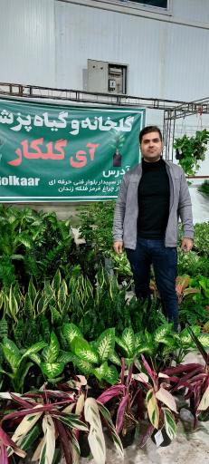 عکس گلخانه آی گلکار 