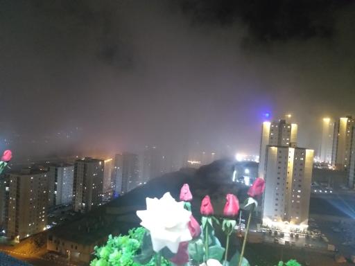 عکس برج آوید 4b114