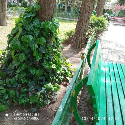 عکس بوستان شهید نیاکی