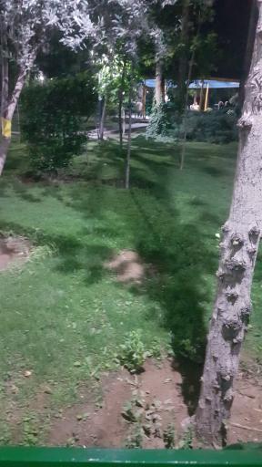 عکس بوستان شهید نیاکی