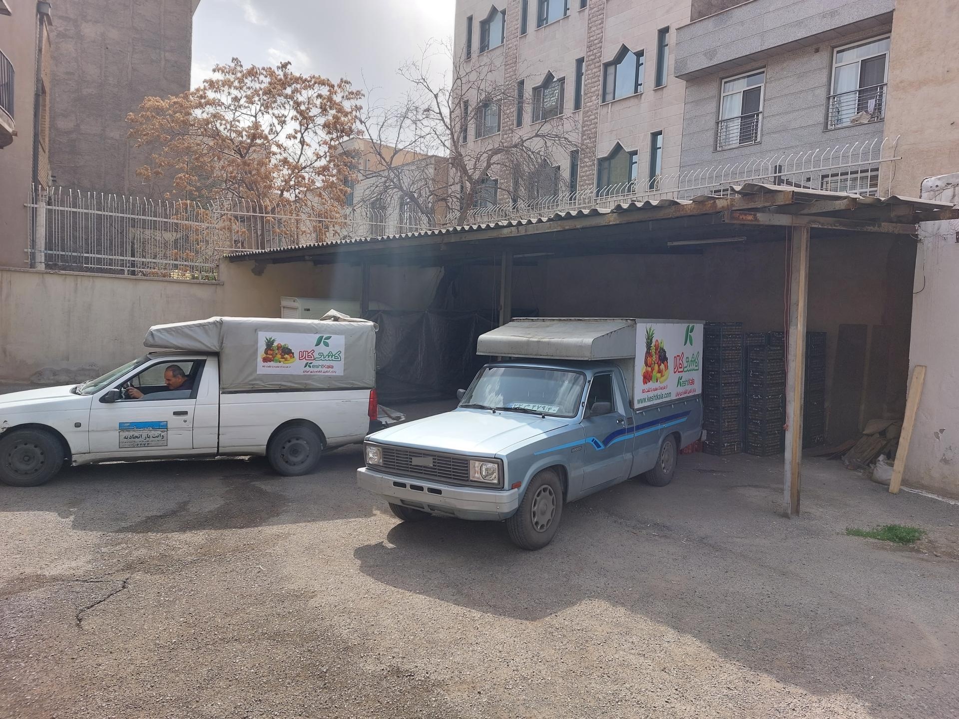 عکس شرکت کشت کالا