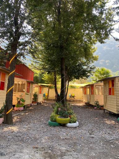 عکس کافه رستوران لیلی 