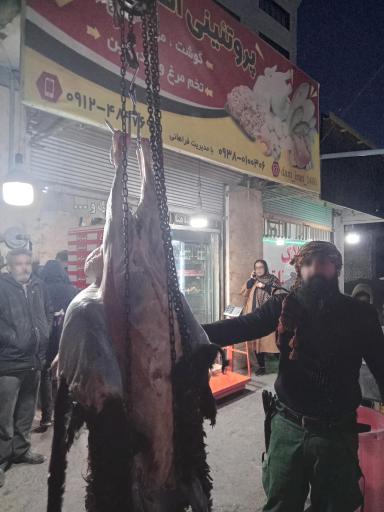 عکس قصابی اهورا