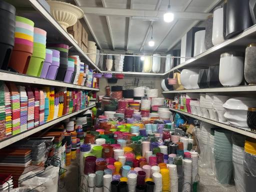 عکس گلدانتو شعبه آجودانیه