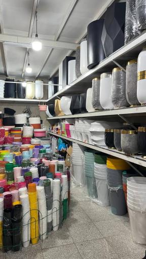 گلدانتو شعبه آجودانیه