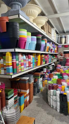 گلدانتو شعبه آجودانیه