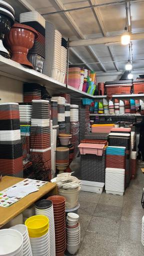 عکس گلدانتو شعبه آجودانیه