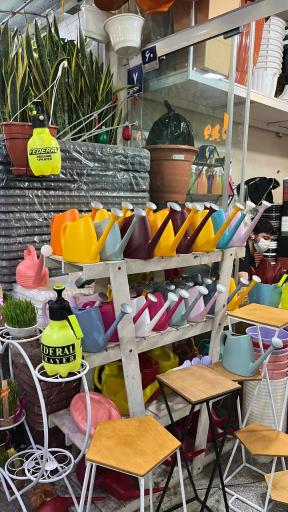 عکس گلدانتو شعبه آجودانیه