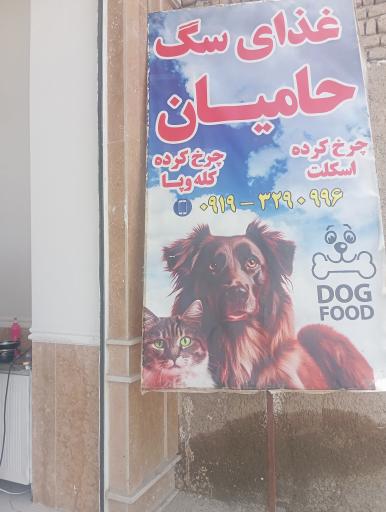 عکس پخش غذای حیوانات حامیان