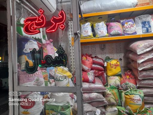 عرضه مستقیم برنج شمال