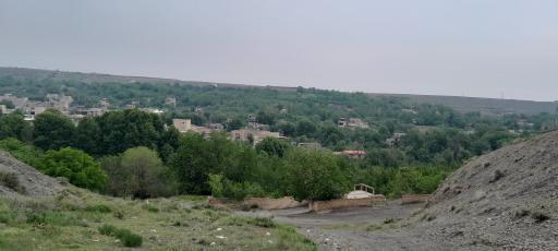 کاهو