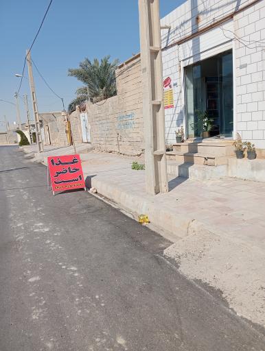 عکس غذای خانگی رابیا