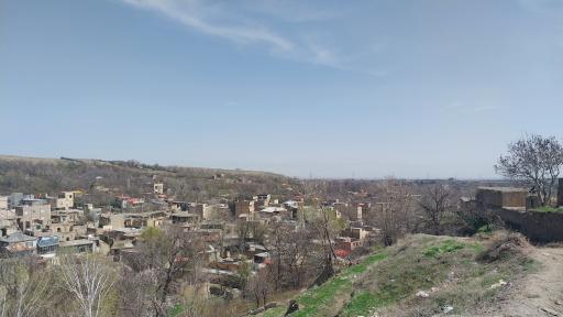 عکس کاهو