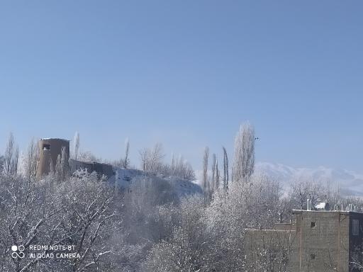 عکس کاهو