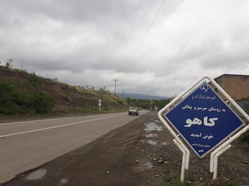 عکس کاهو