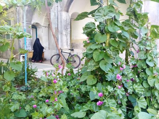 عکس مسجد یساولباشی