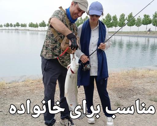 عکس کاهو