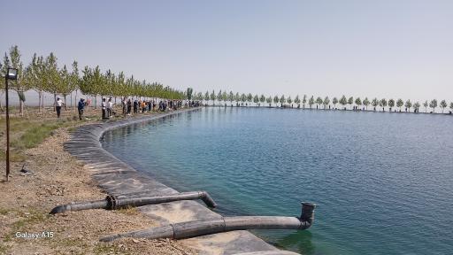 عکس کاهو