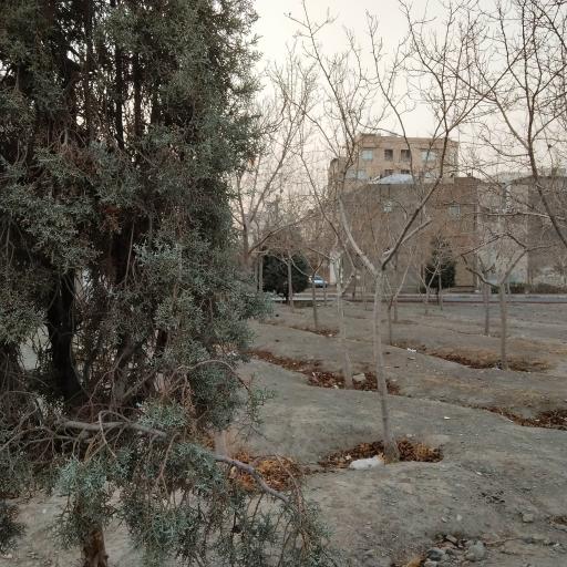 عکس فضای سبز