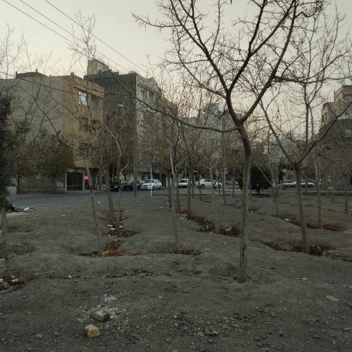 عکس فضای سبز